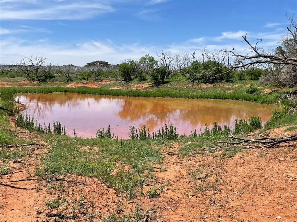 141 acres in Taylor County gallery image 3
