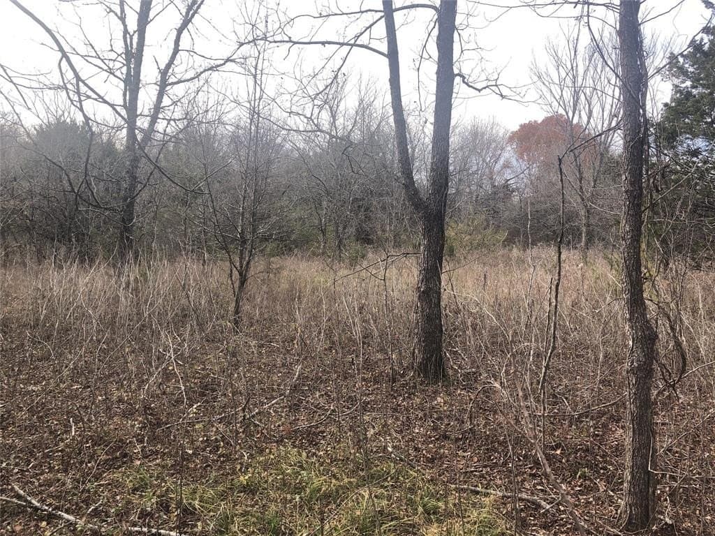 12.15 acres in Fannin County gallery image 3