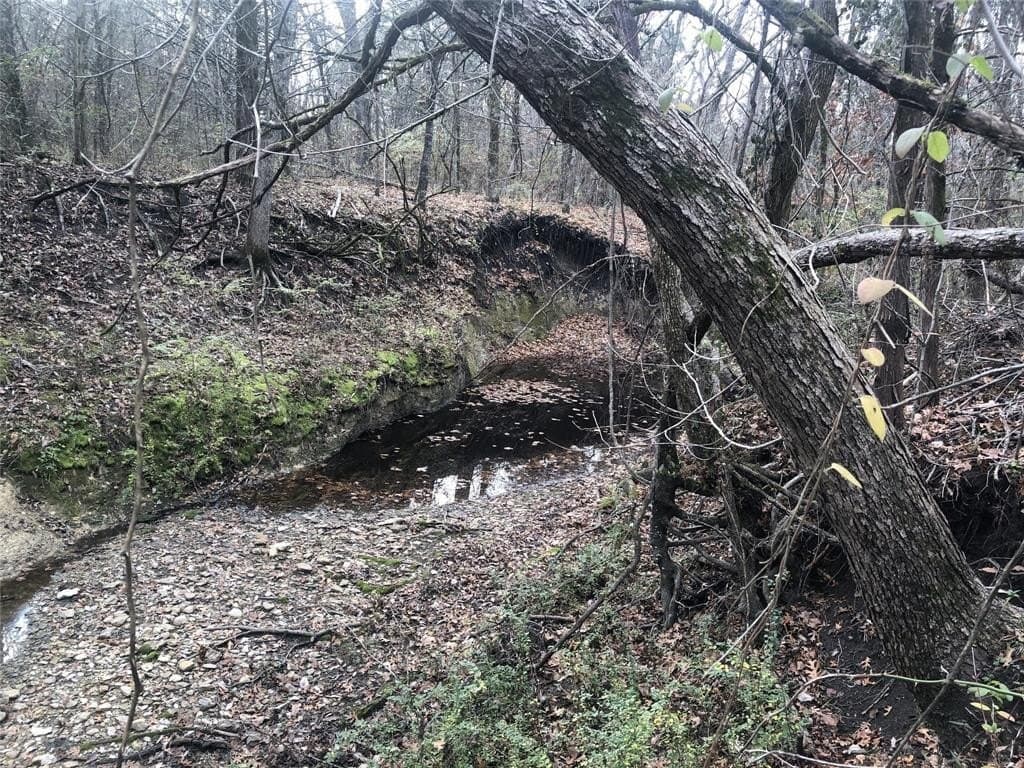 12.15 acres in Fannin County gallery image 4