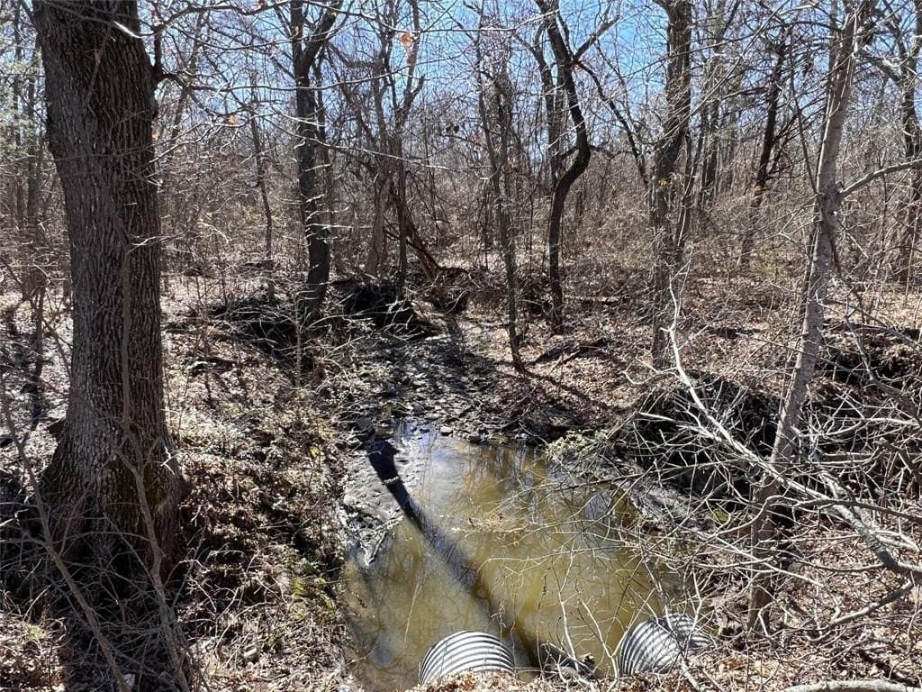 12.15 acres in Fannin County gallery image 2