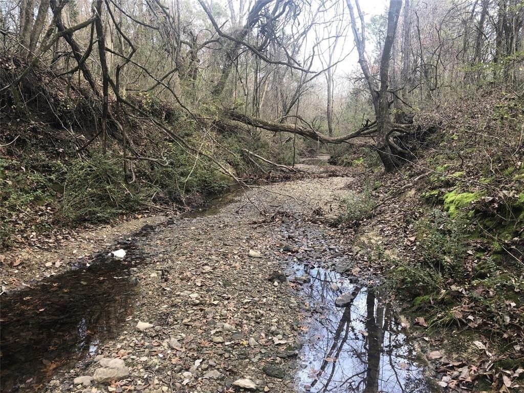 12.15 acres in Fannin County featured view