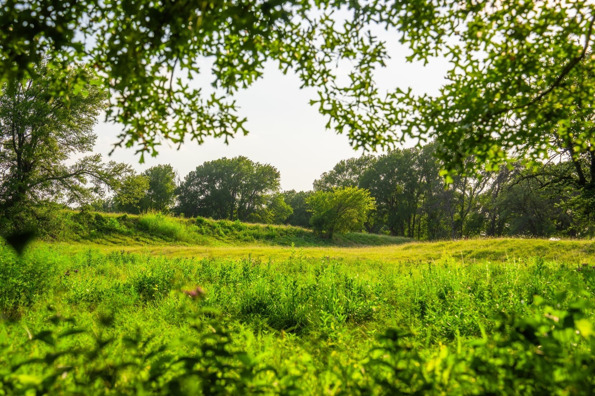 59 acres in Hood County - photo 9