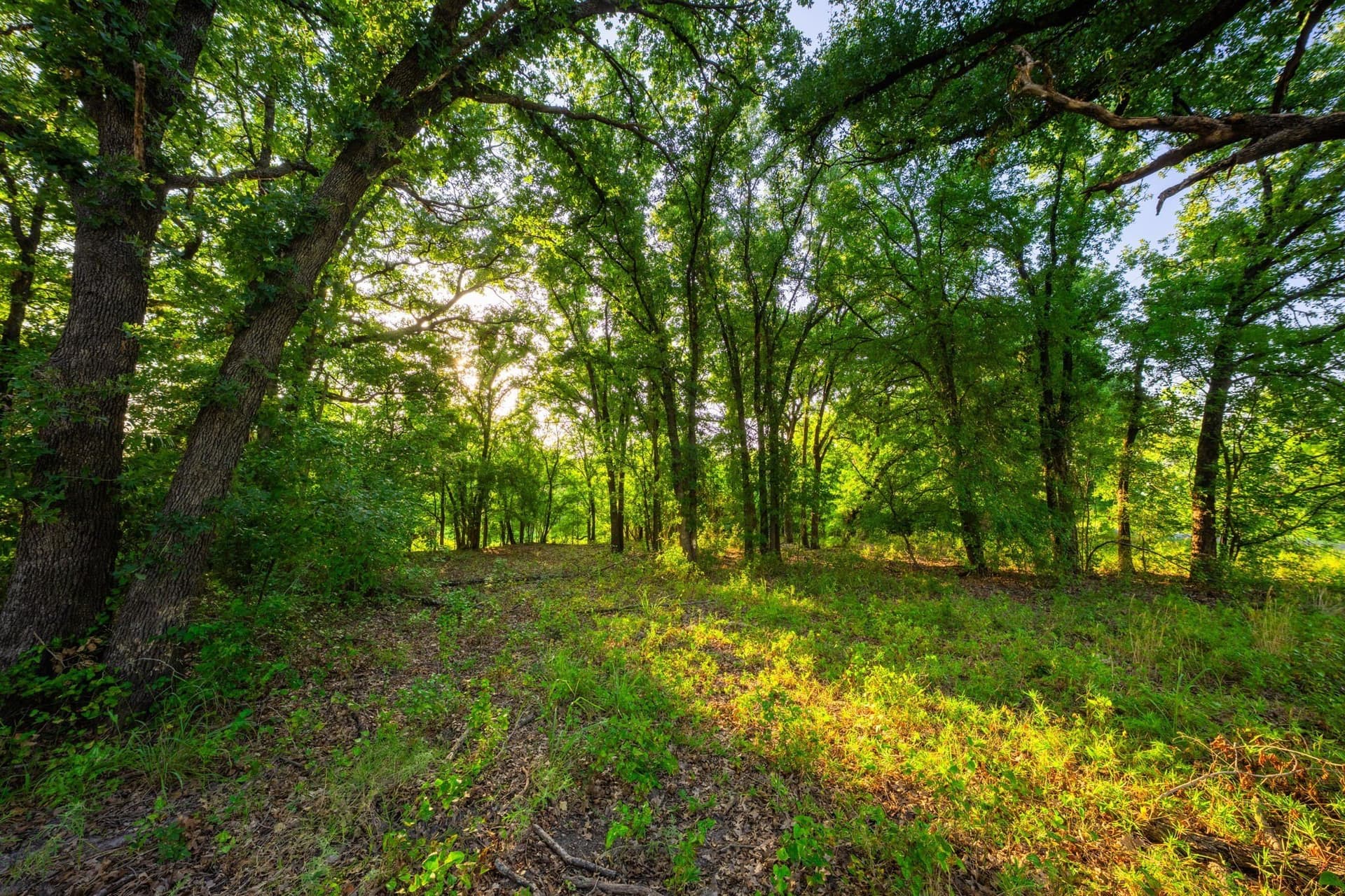 59 acres in Hood County - photo 29