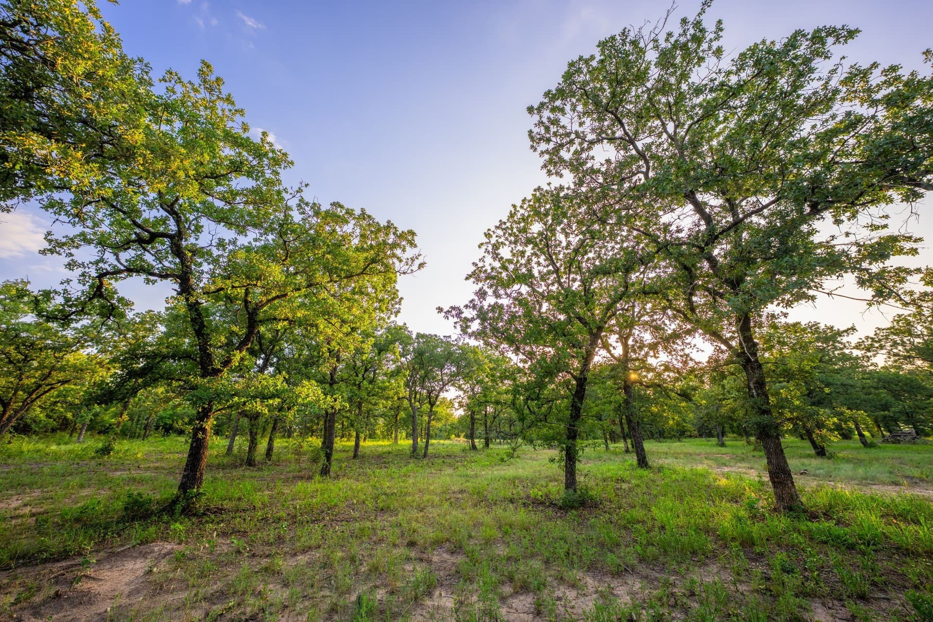 59 acres in Hood County - photo 5