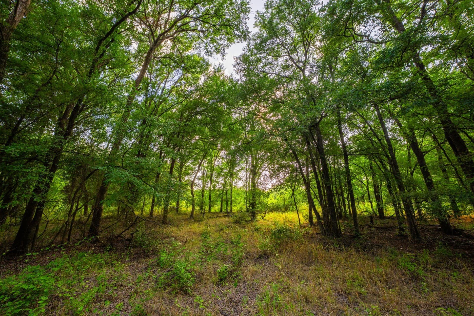 59 acres in Hood County - photo 26