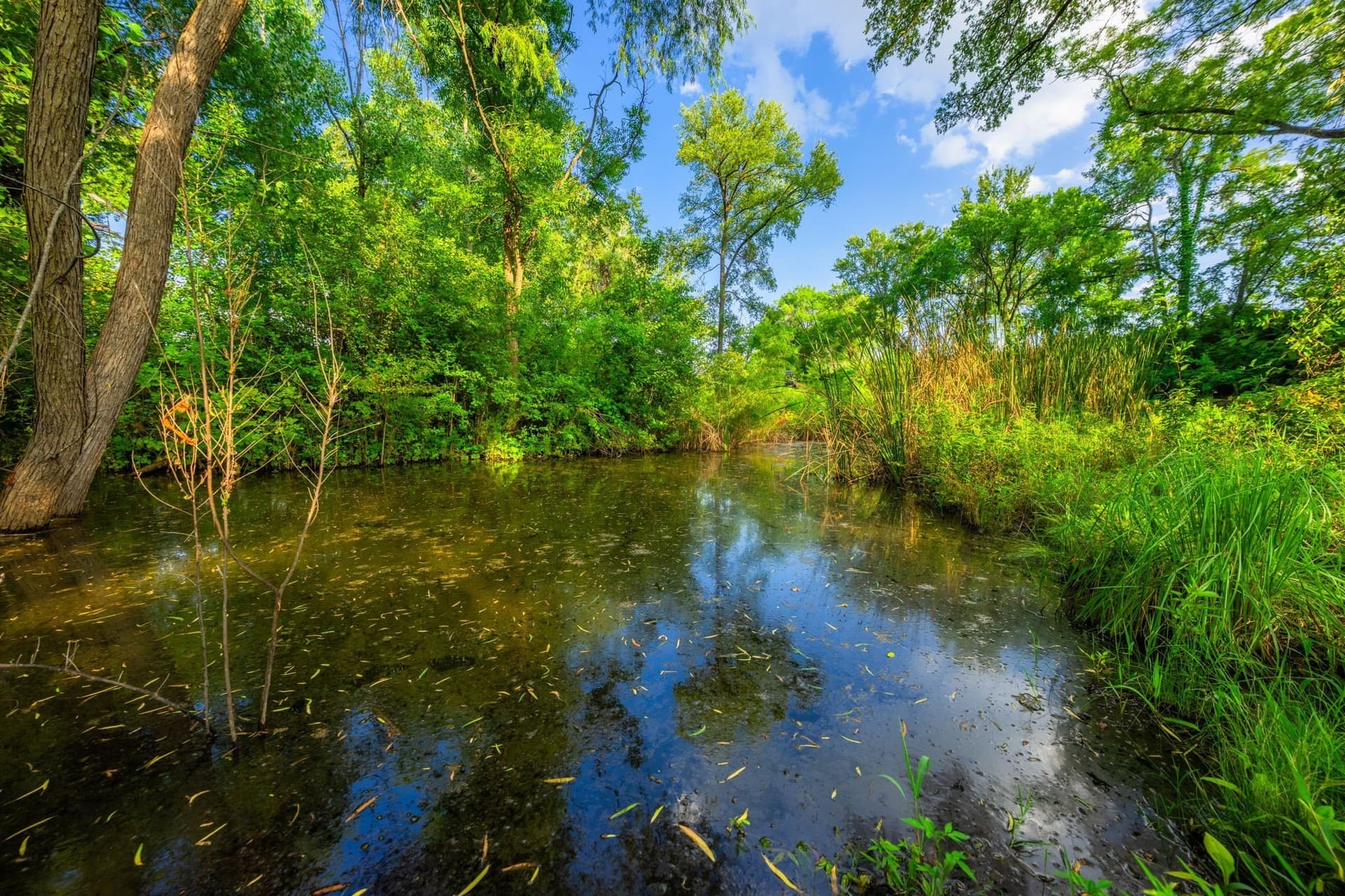 59 acres in Hood County - photo 32