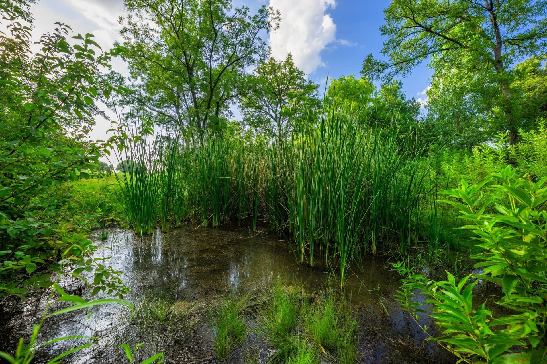 59 acres in Hood County - photo 31