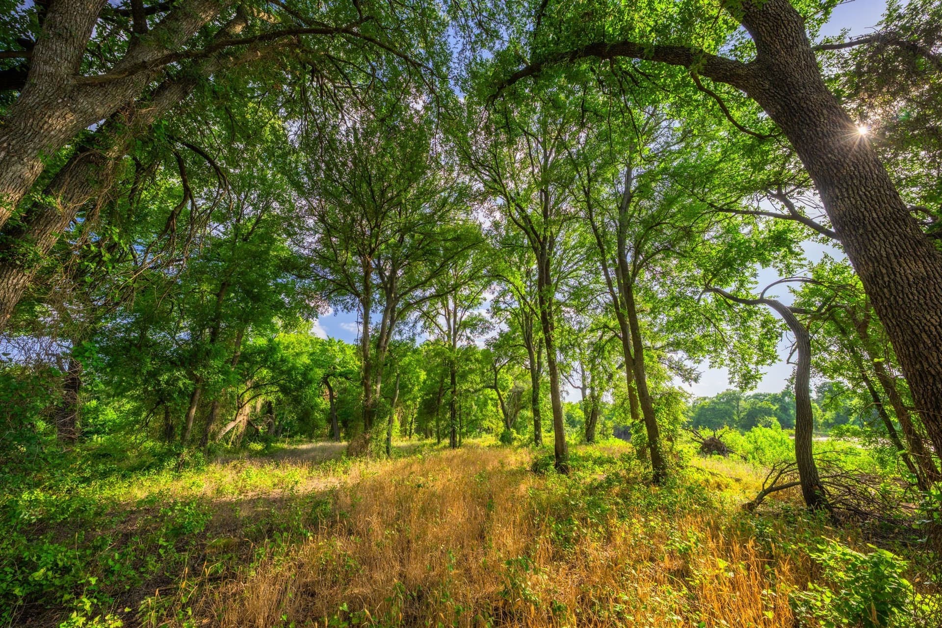 59 acres in Hood County - photo 8