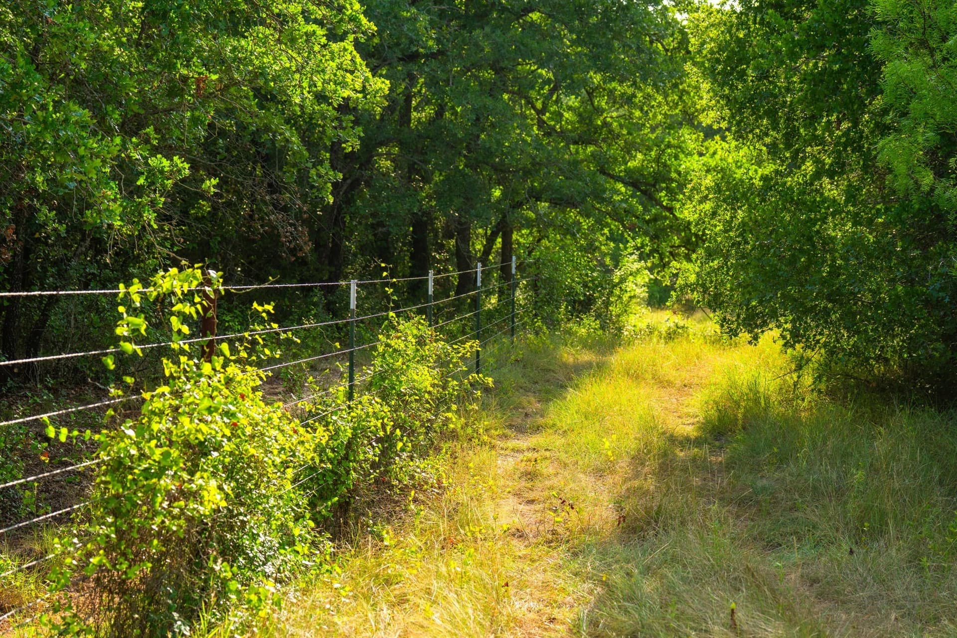 59 acres in Hood County - photo 30