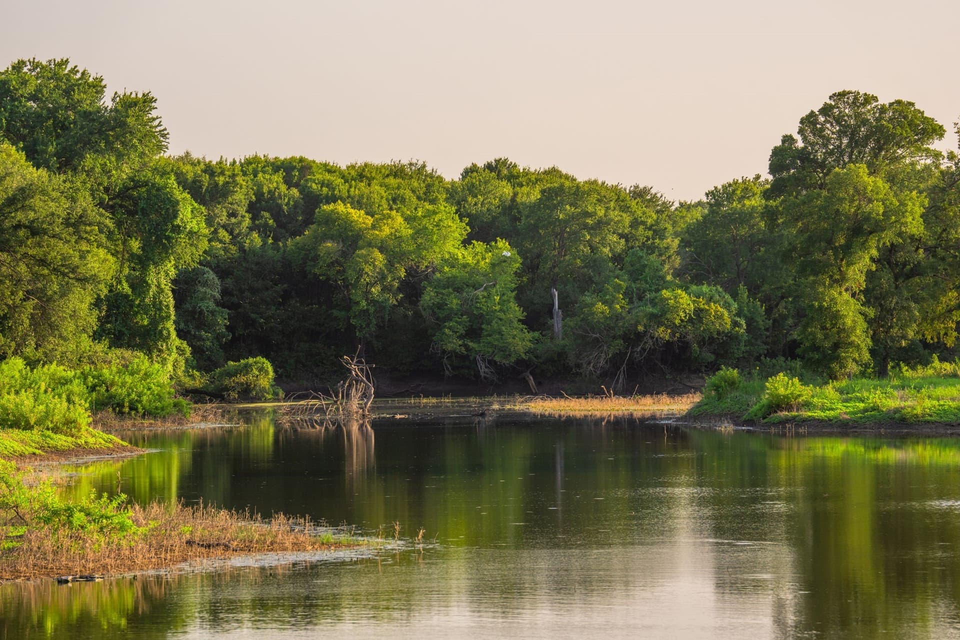 59 acres in Hood County - photo 14