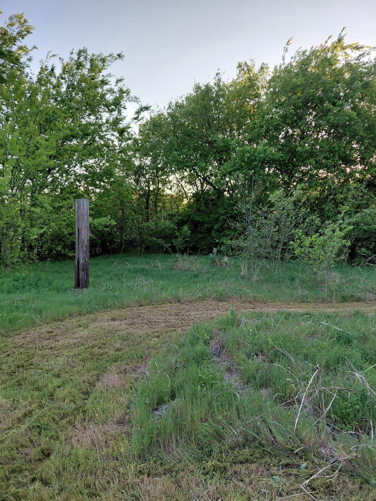 0.19 acres in Dallas County gallery image 3