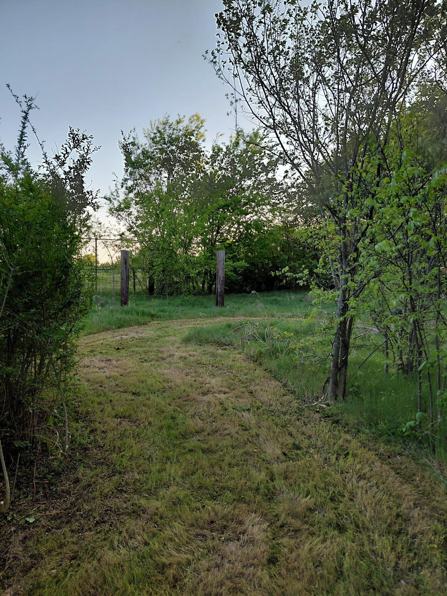 0.19 acres in Dallas County gallery image 2