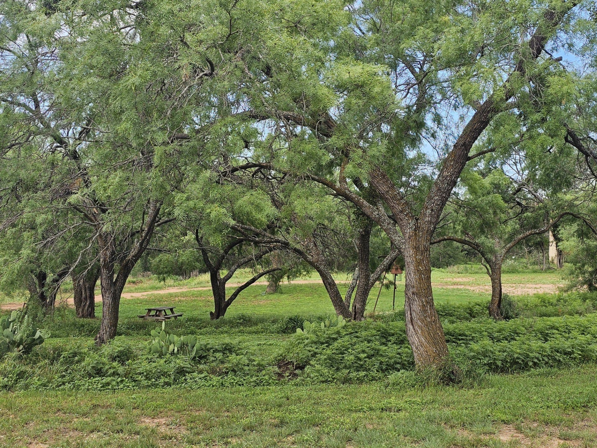 4.49 acres in Mills County - photo 4