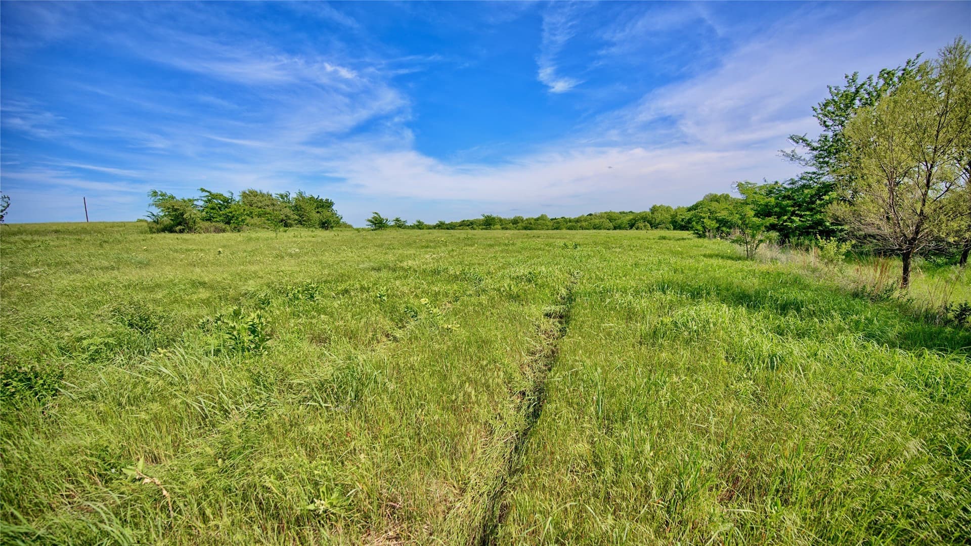 10.01 acres in Montague County - photo 7