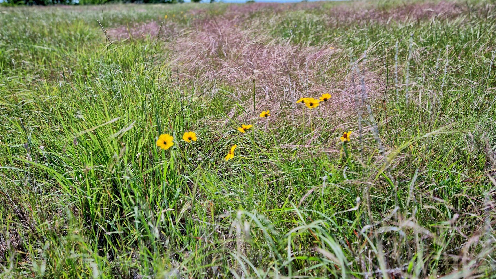 10.01 acres in Montague County - photo 12