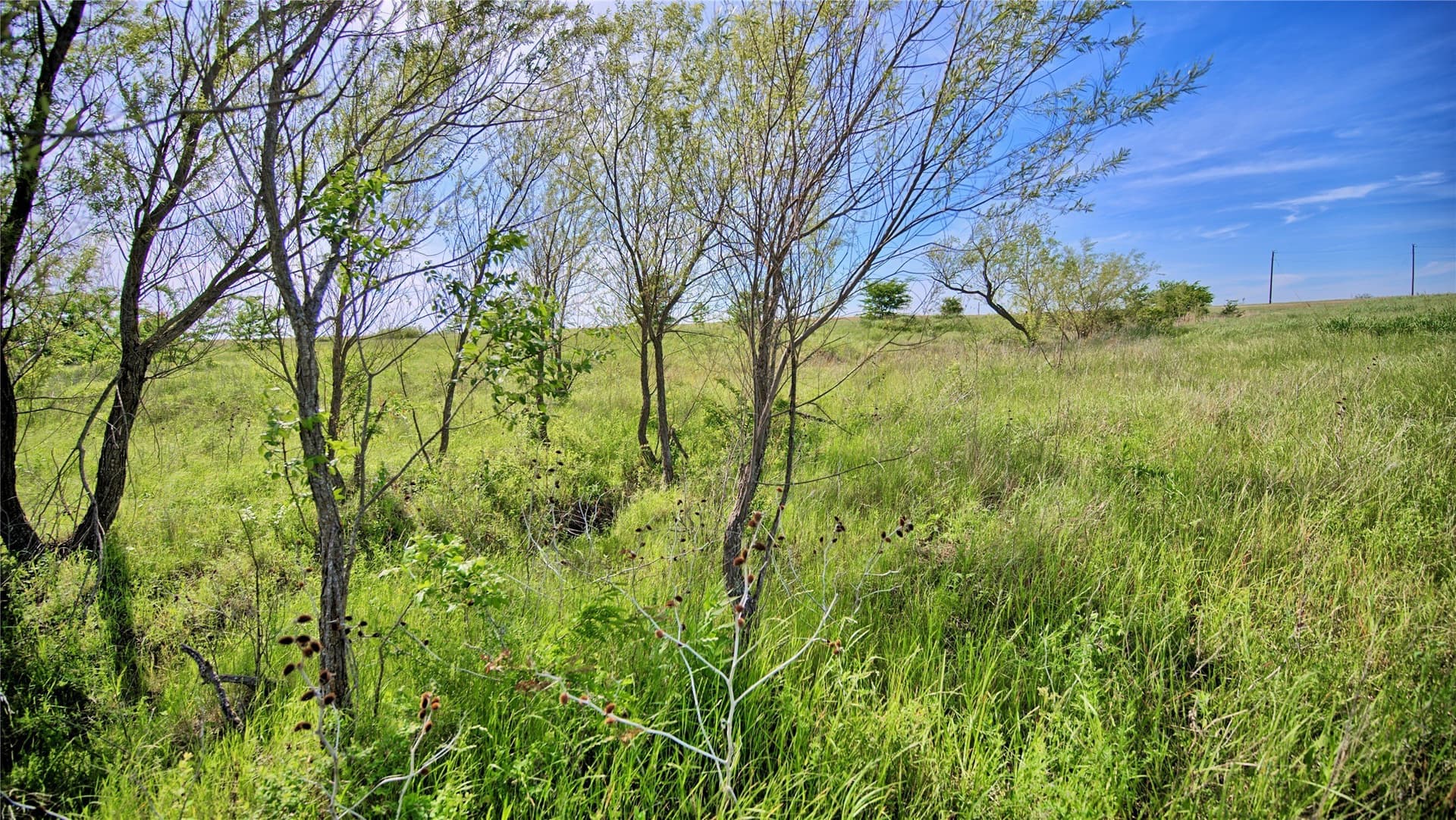 10.01 acres in Montague County - photo 16