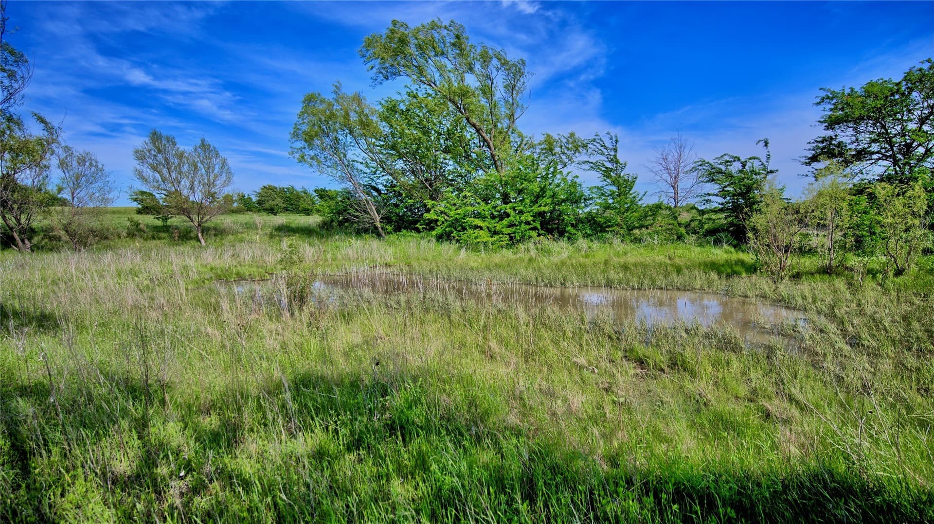 10.01 acres in Montague County - photo 14
