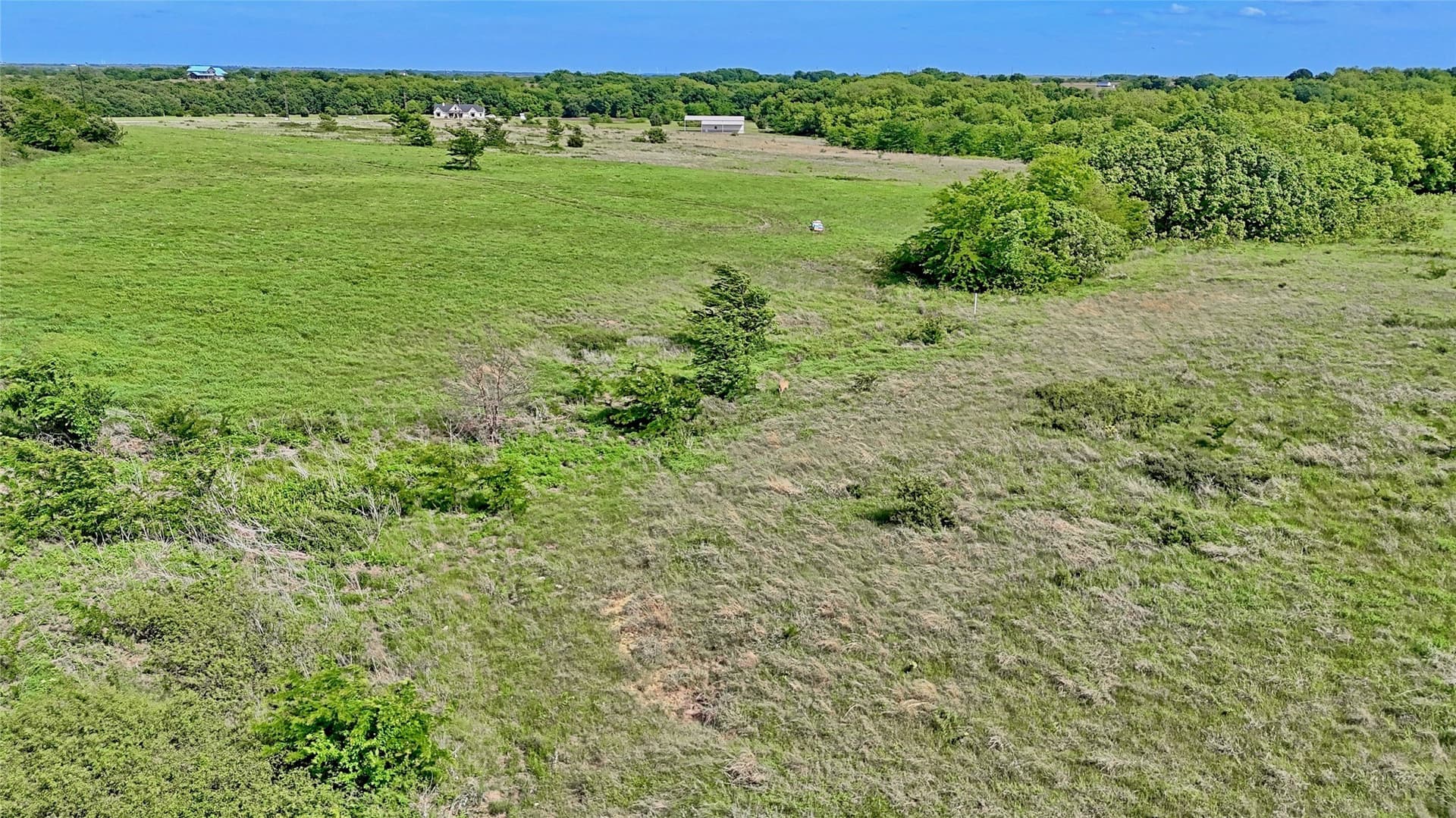 10.01 acres in Montague County - photo 8