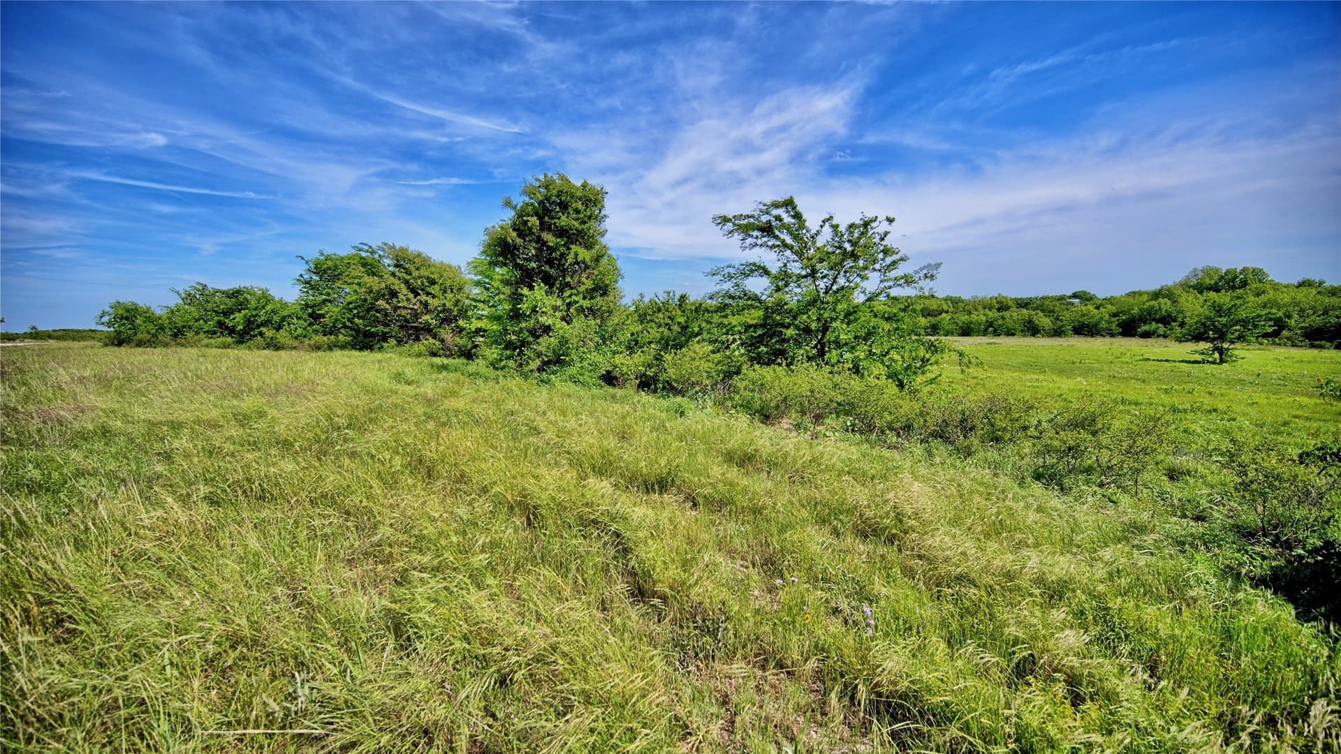 10.01 acres in Montague County - photo 2