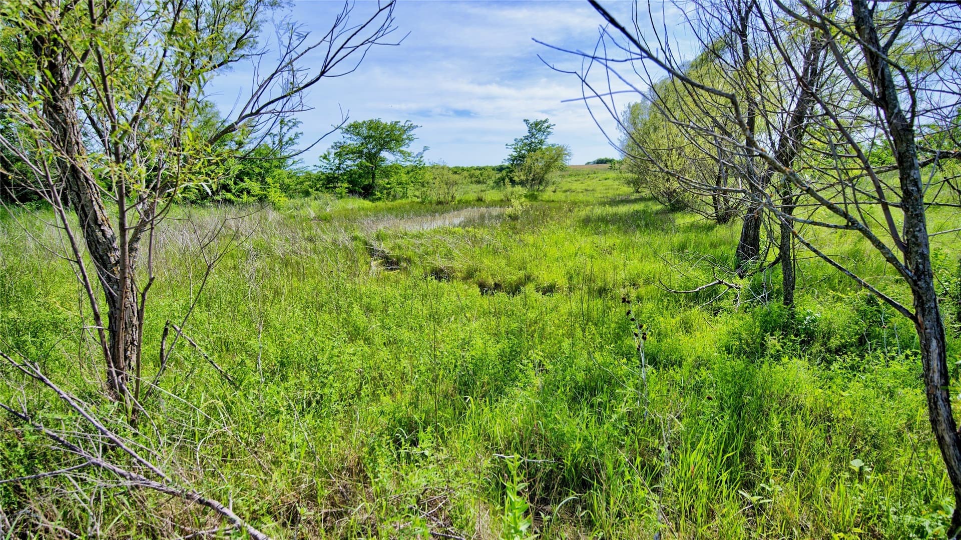 10.01 acres in Montague County - photo 13