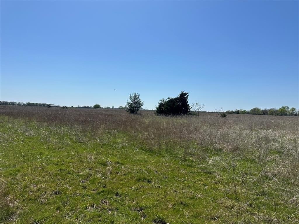 8.5 acres in Fannin County gallery image 3
