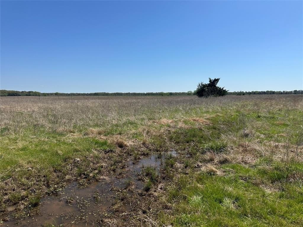 8.5 acres in Fannin County featured view