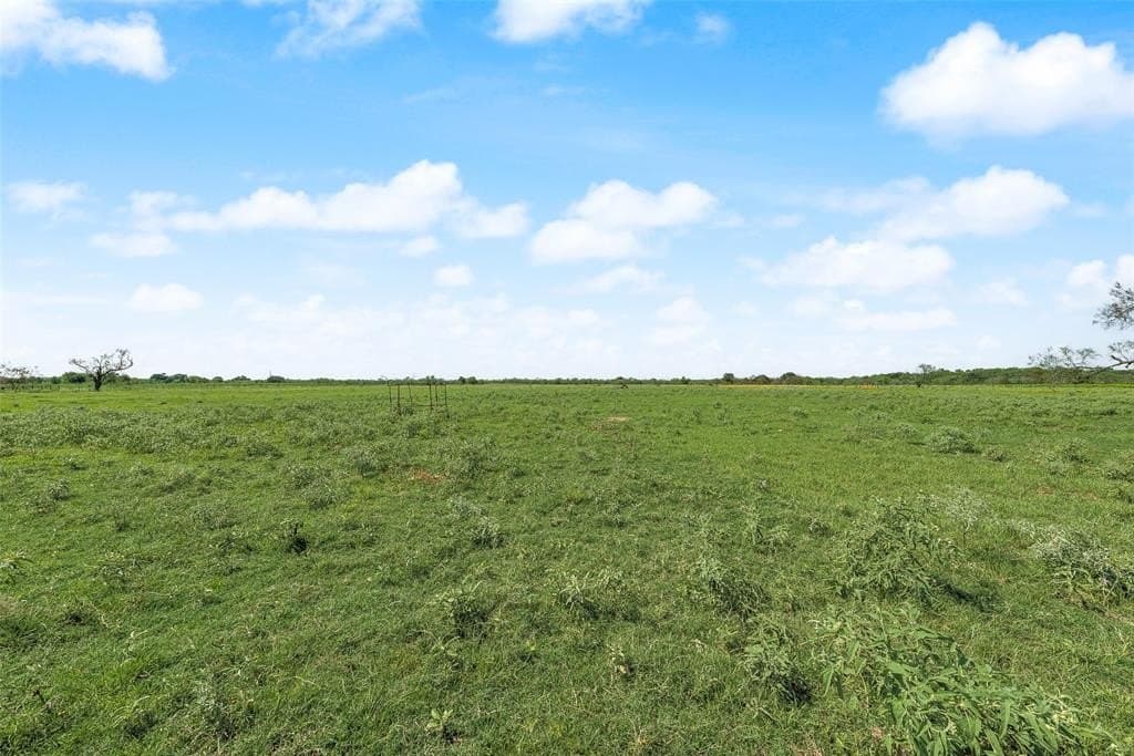 8.5 acres in Fannin County gallery image 2