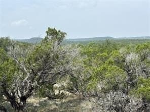 15 acres in Somervell County gallery image 3