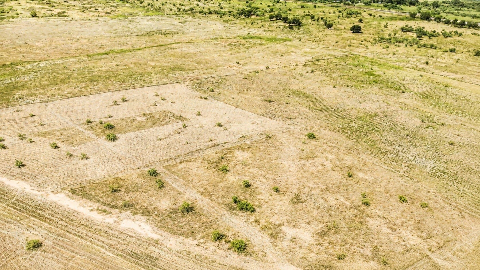 5.71 acres in Montague County gallery image 4