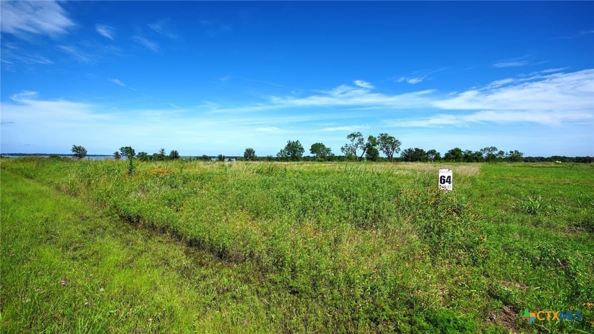 1.01 acres in Navarro County gallery image 4