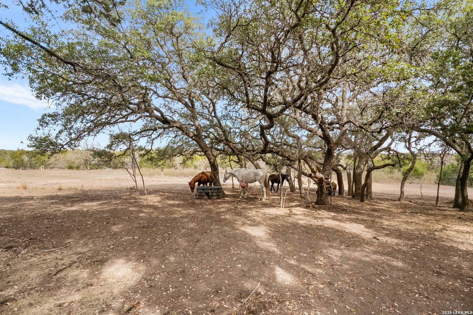 13.46 acres in Bandera County - photo 51