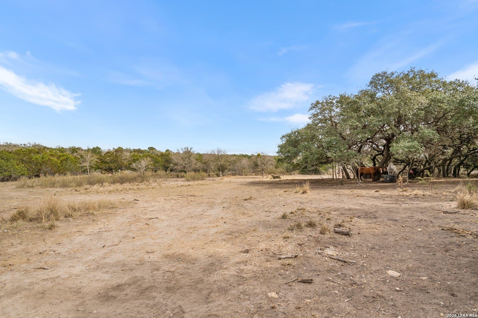 13.46 acres in Bandera County - photo 54