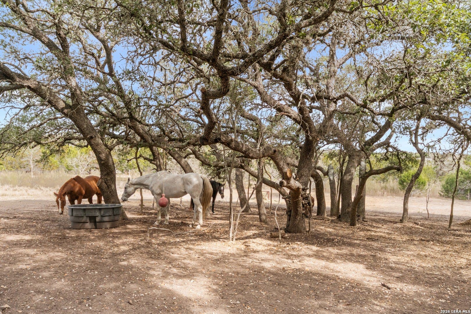 13.46 acres in Bandera County - photo 50