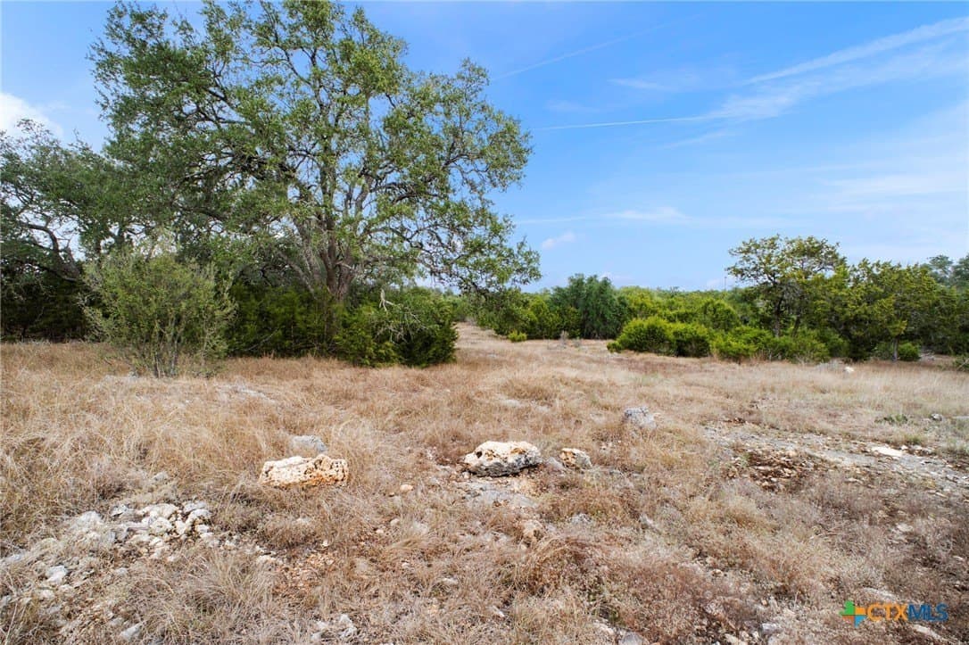 1.42 acres in Comal County gallery image 3