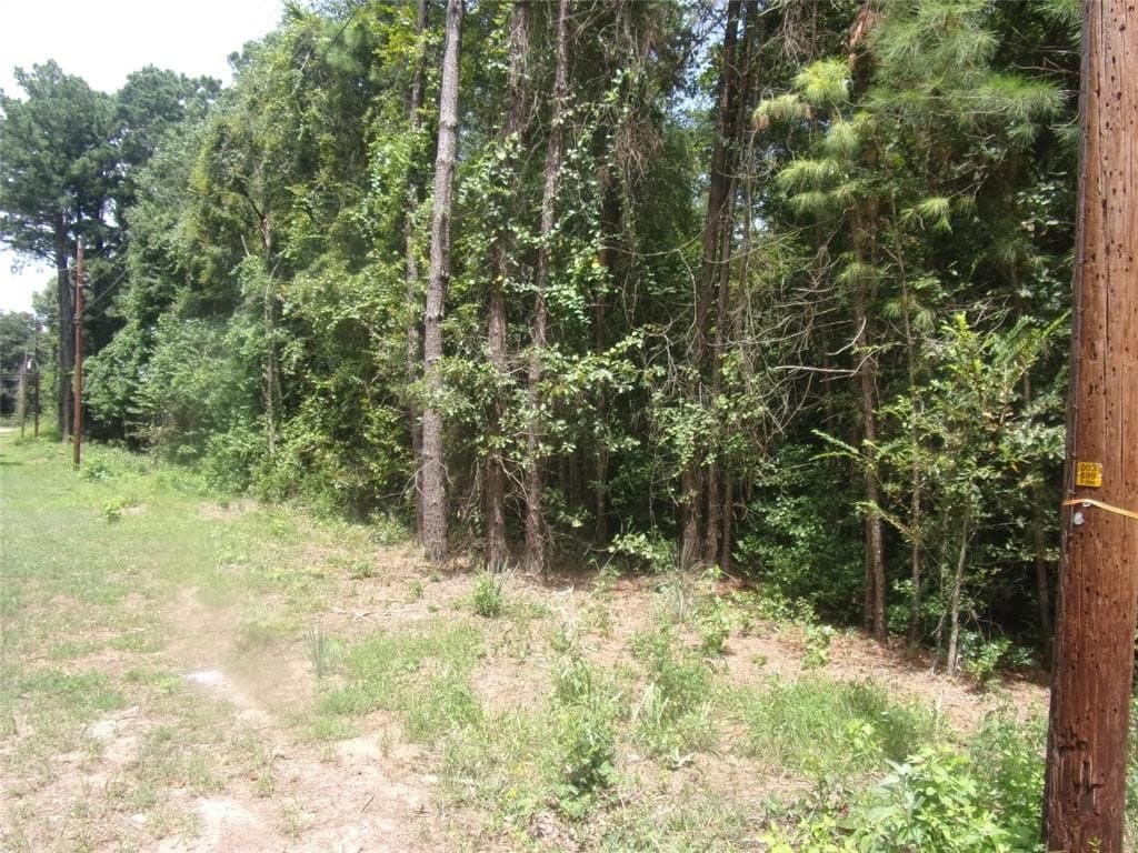 0.21 acres in Van Zandt County gallery image 2