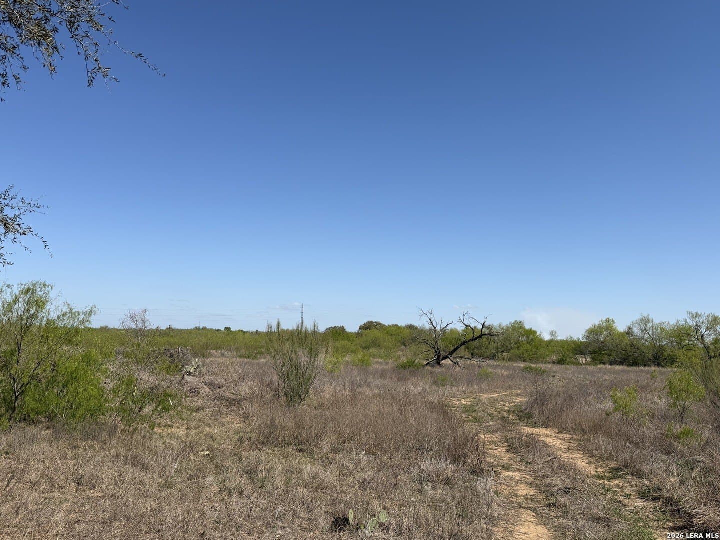 10 acres in Bexar County - photo 15