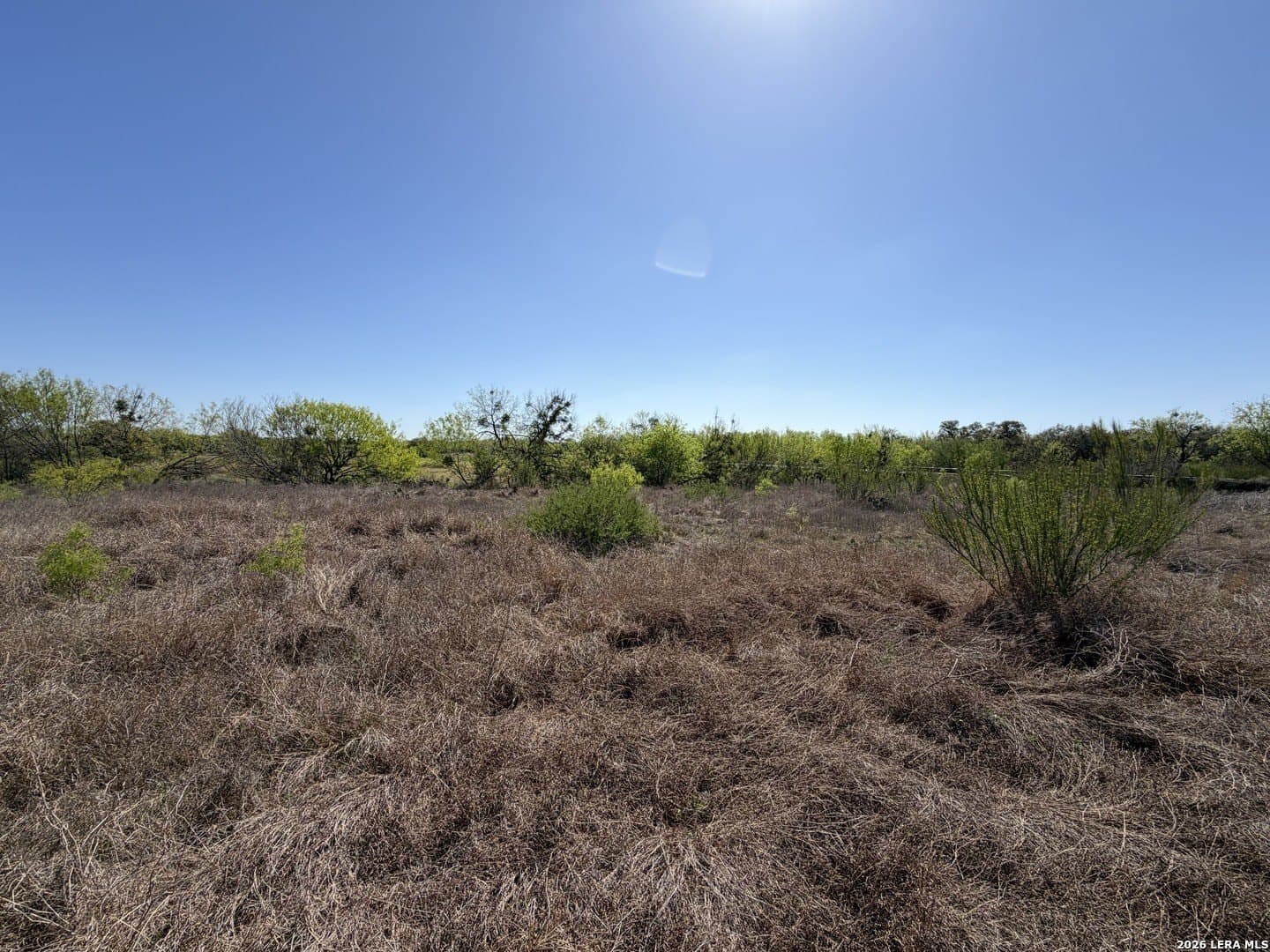 10 acres in Bexar County - photo 23