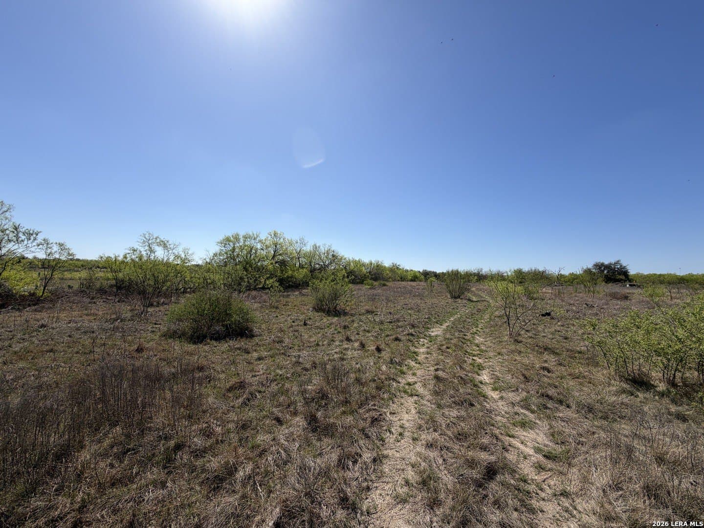 10 acres in Bexar County - photo 29