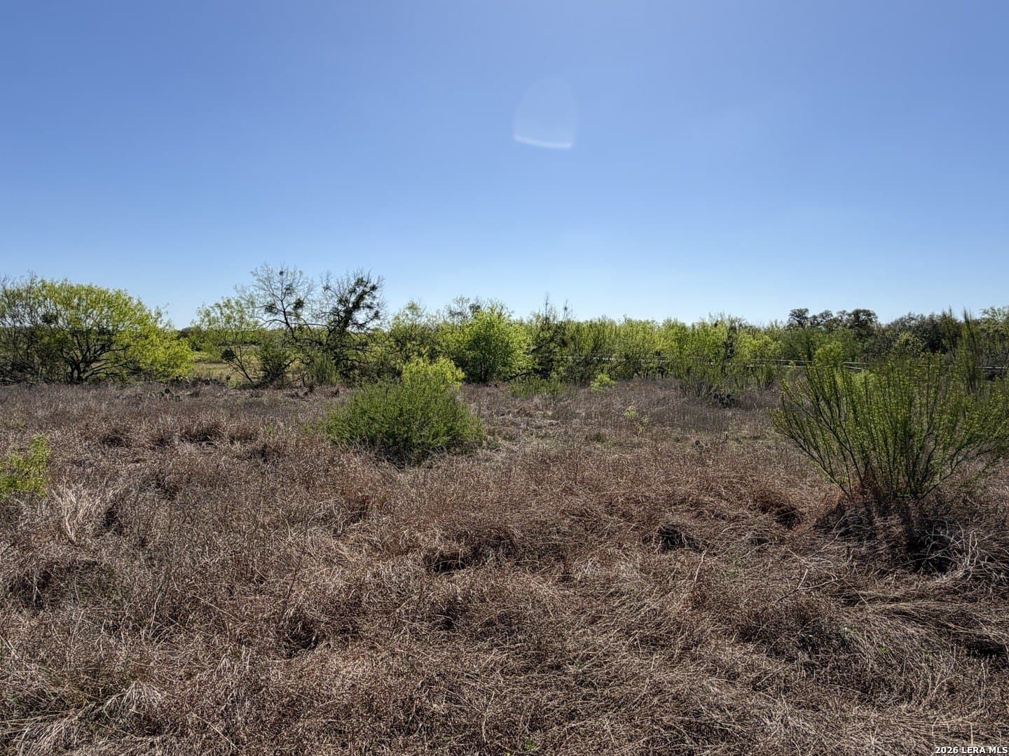 10 acres in Bexar County - photo 21