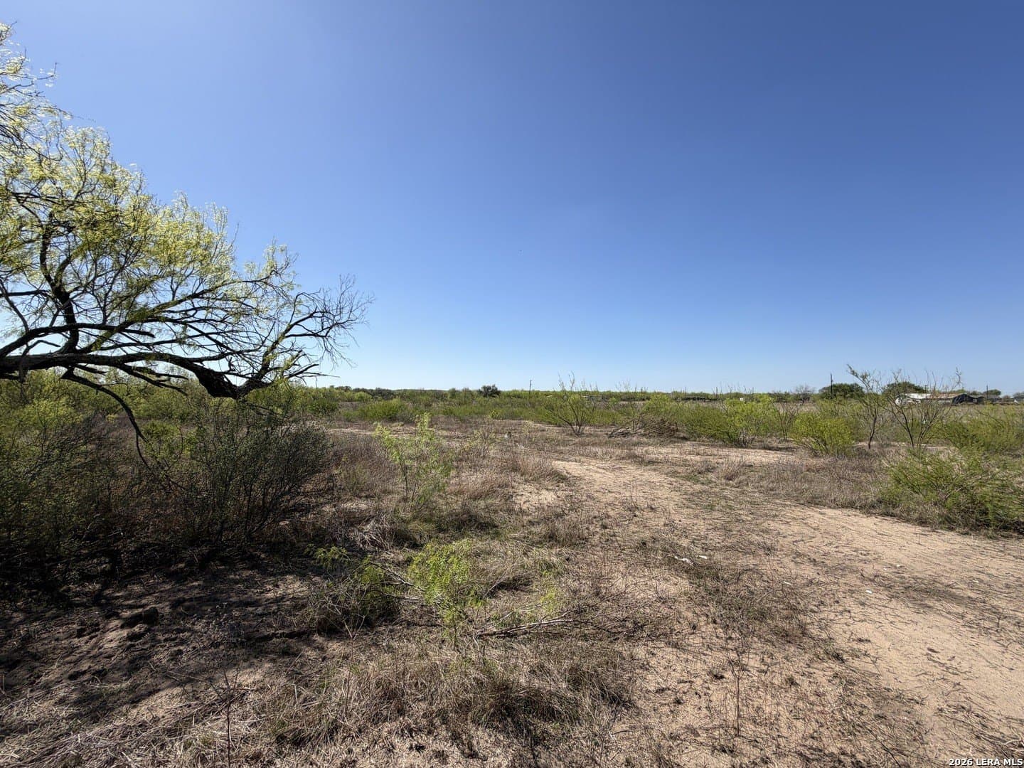 10 acres in Bexar County - photo 37
