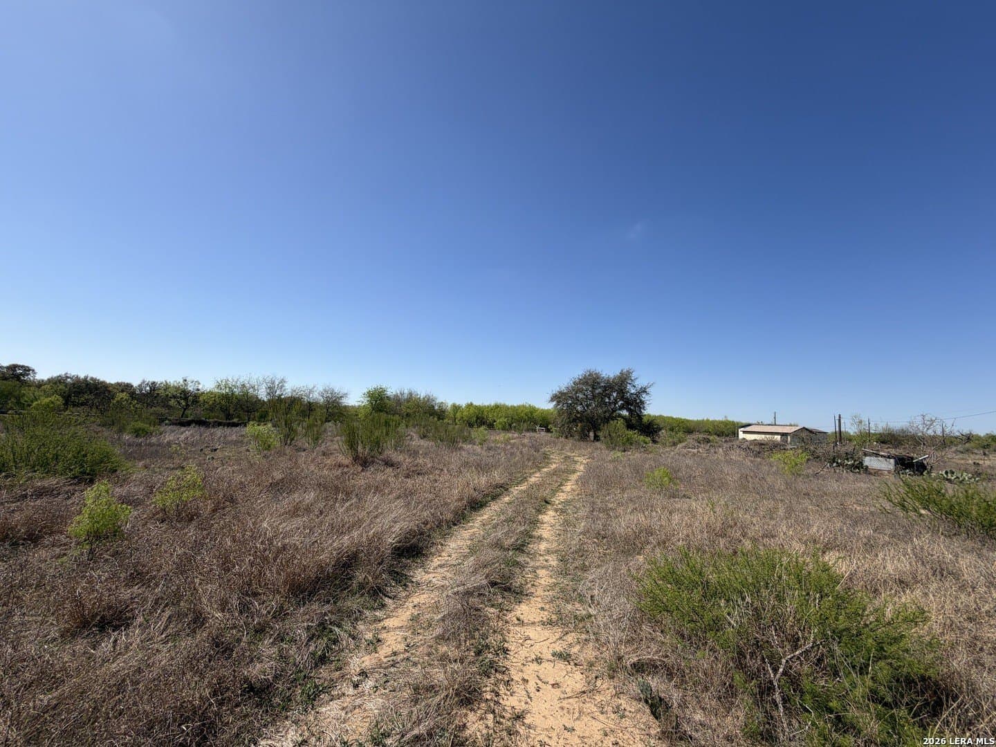 10 acres in Bexar County - photo 24