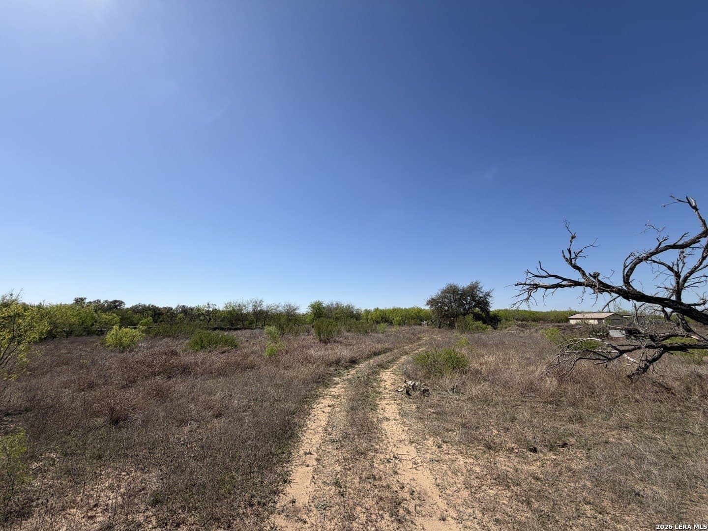 10 acres in Bexar County - photo 26