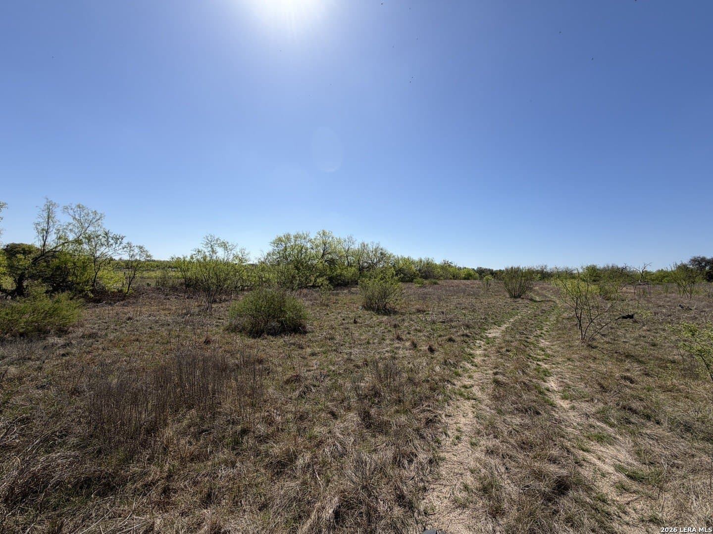 10 acres in Bexar County - photo 28