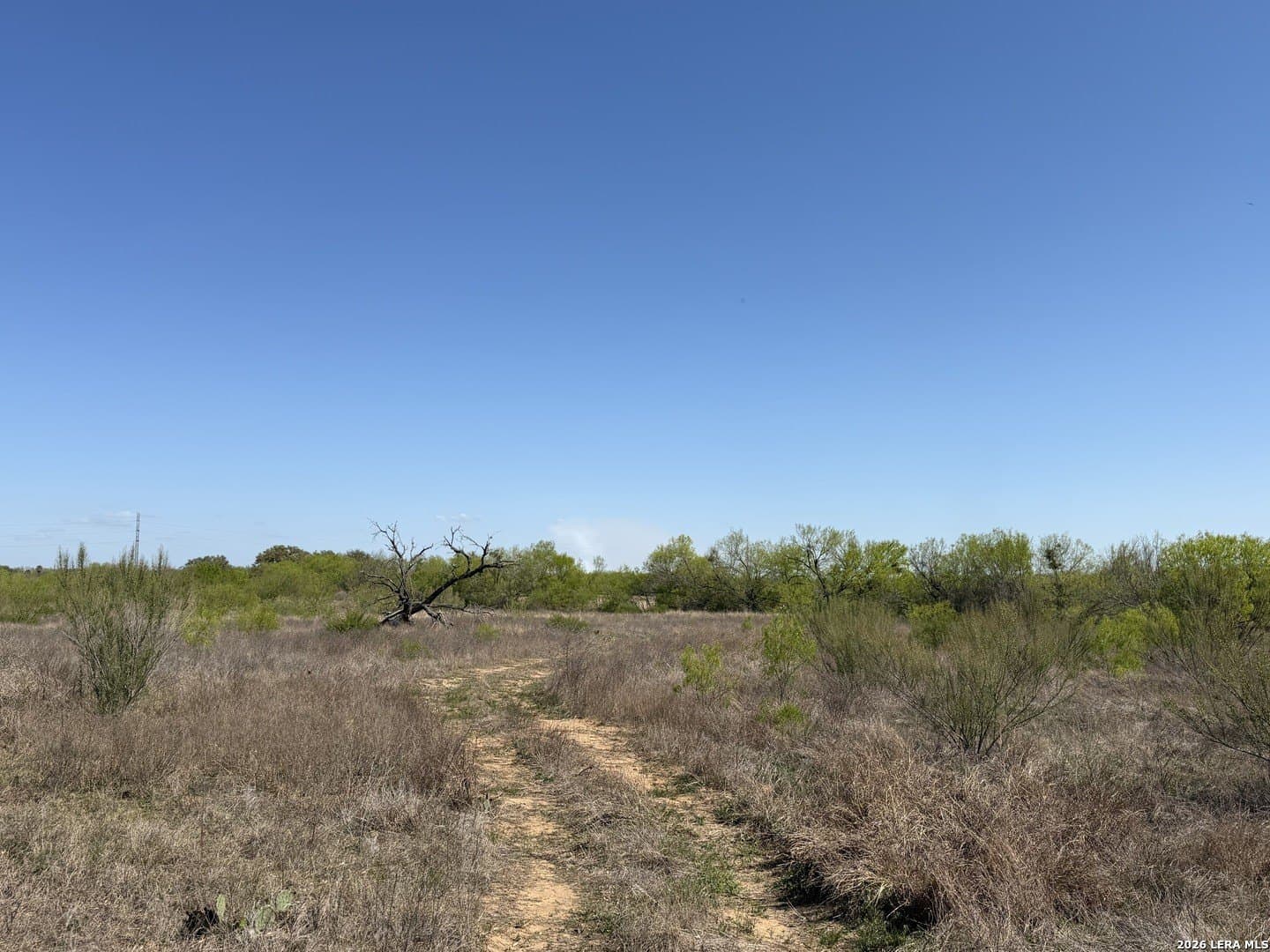 10 acres in Bexar County - photo 14