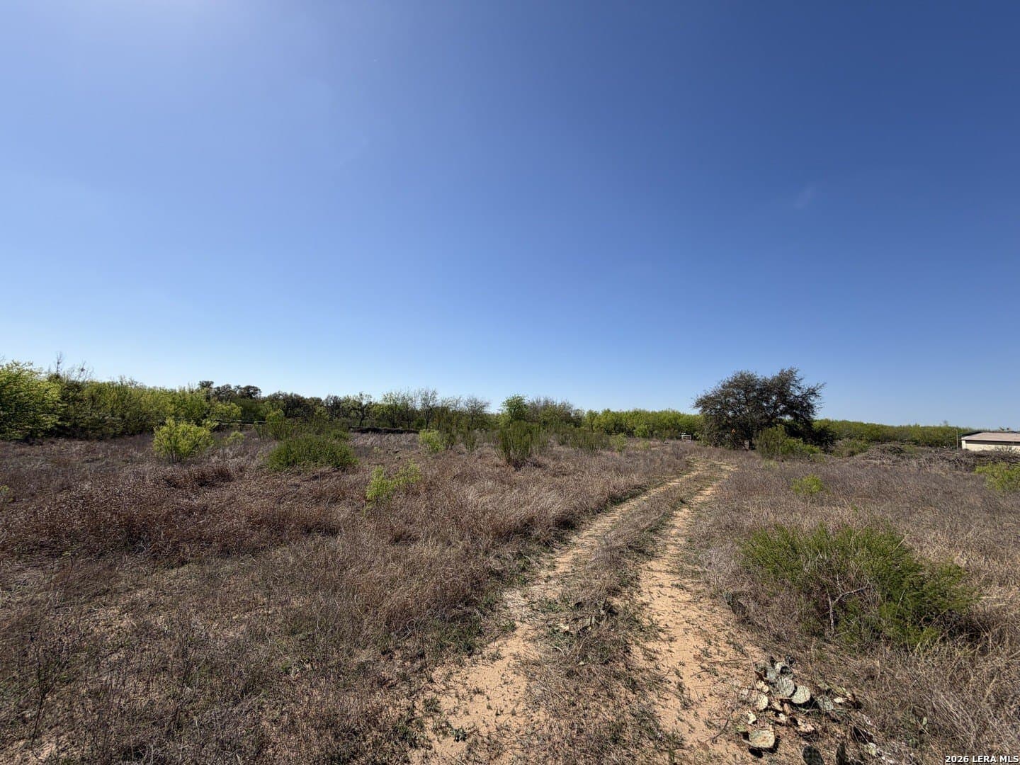 10 acres in Bexar County - photo 25