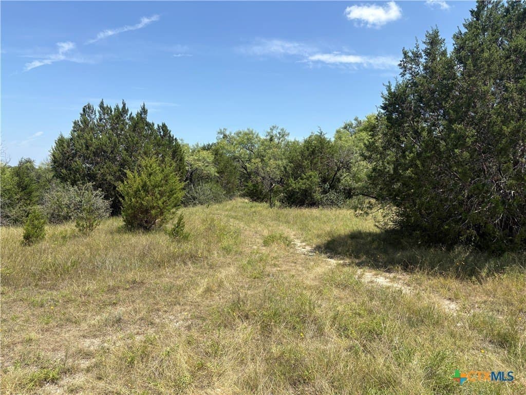 20 acres in Lampasas County gallery image 2