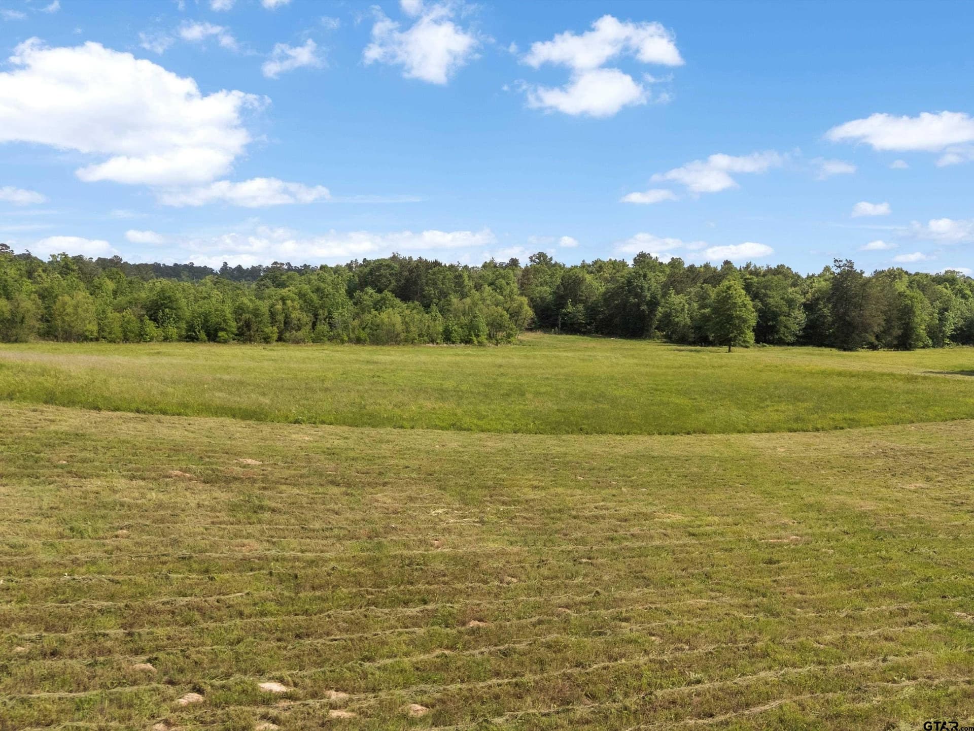 67 acres in Upshur County gallery image 3