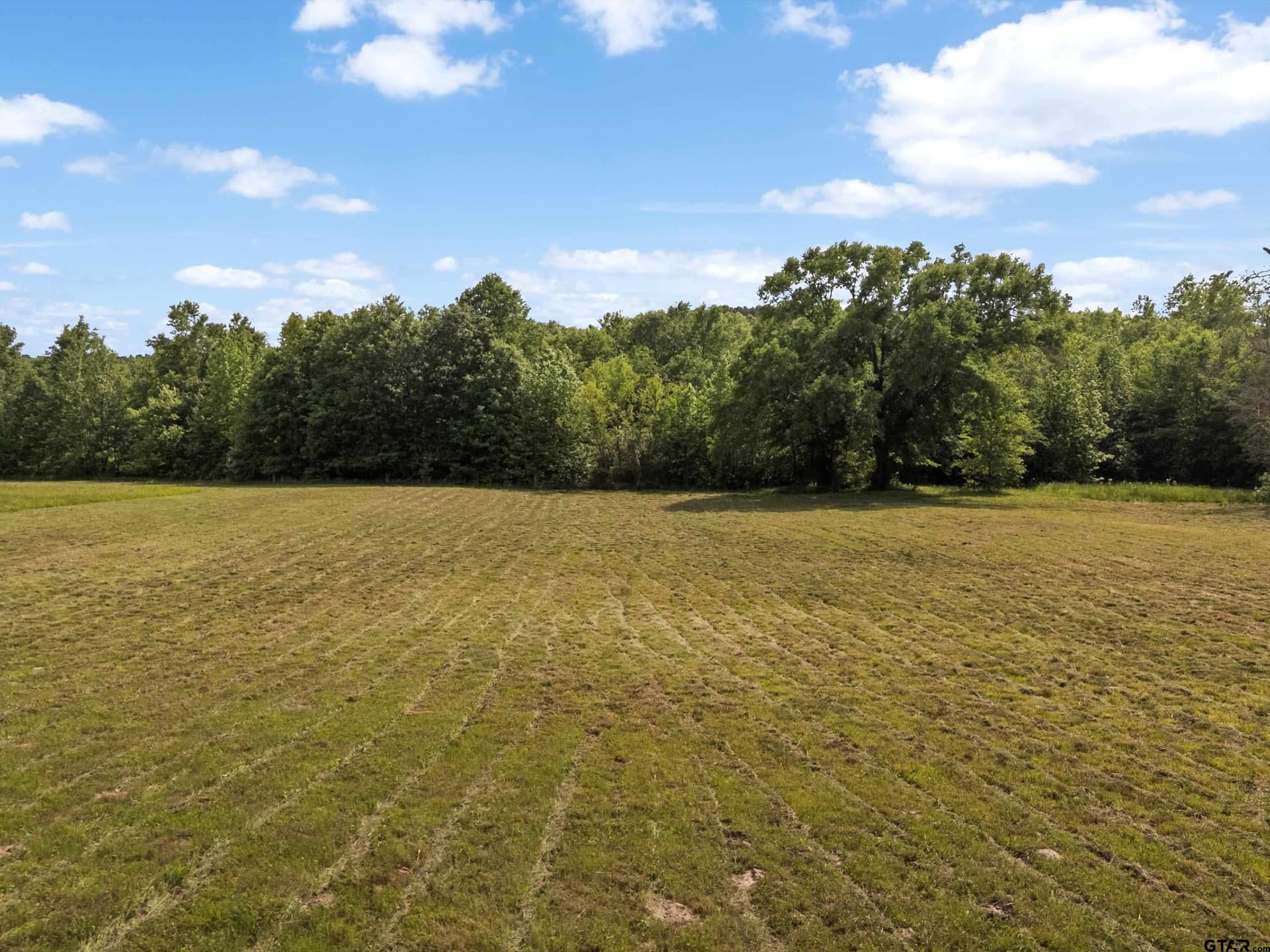 67 acres in Upshur County gallery image 2