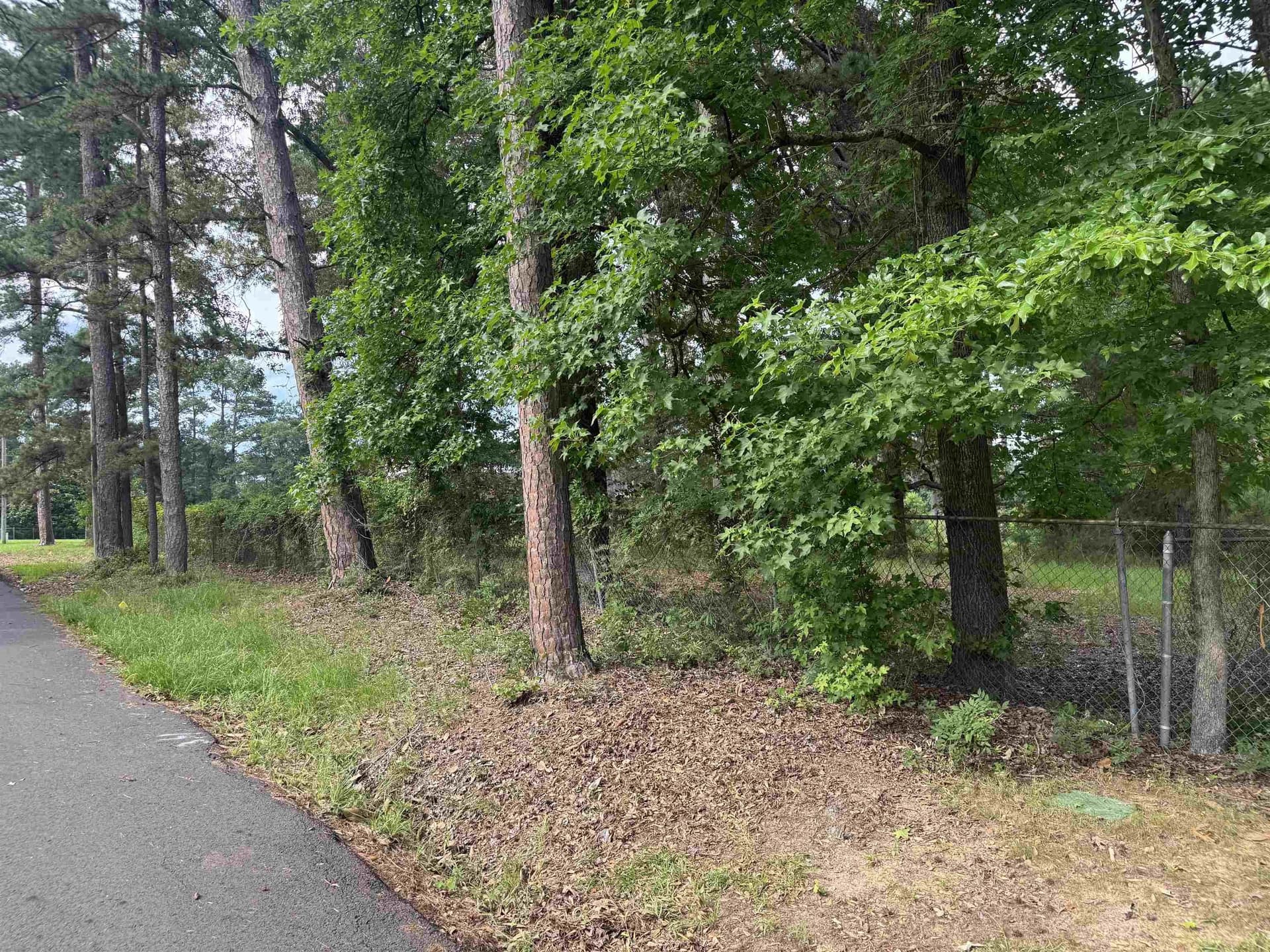 0.93 acres in Texas County gallery image 3