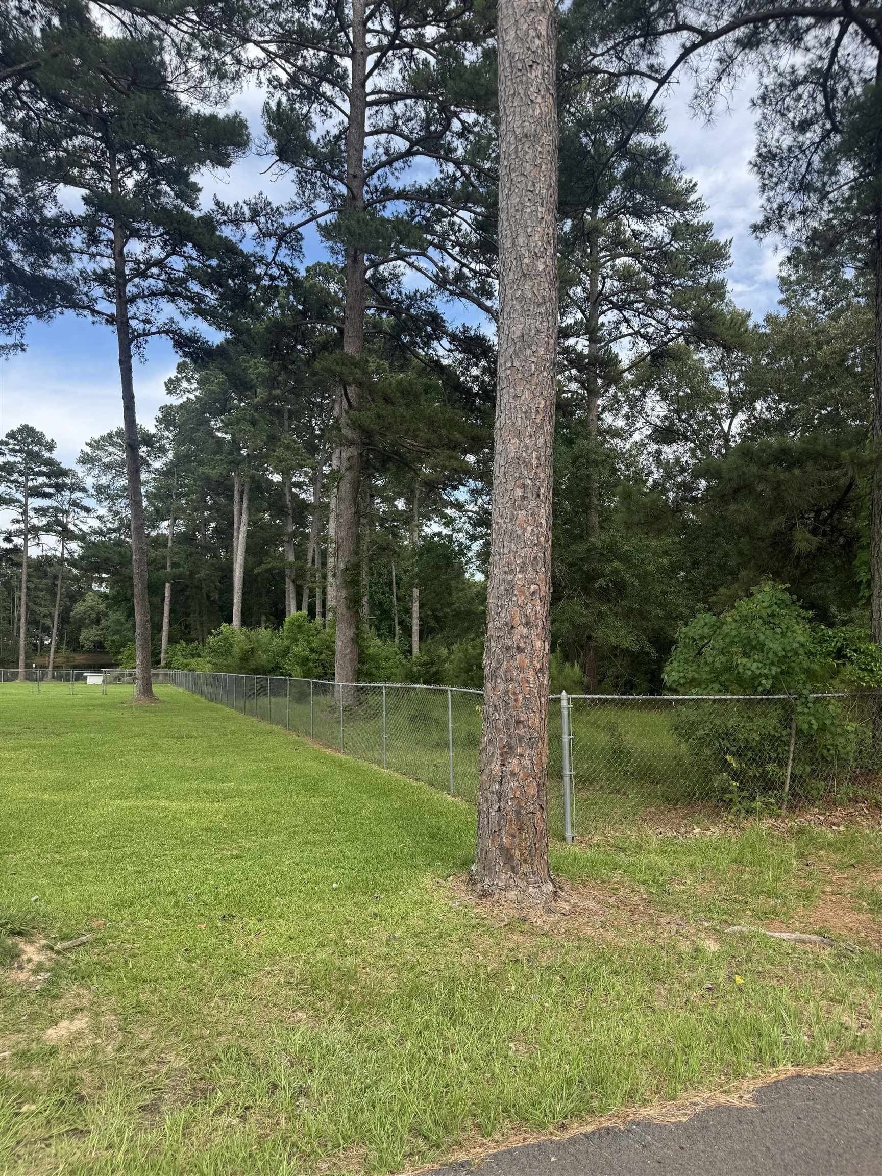 0.93 acres in Texas County gallery image 2